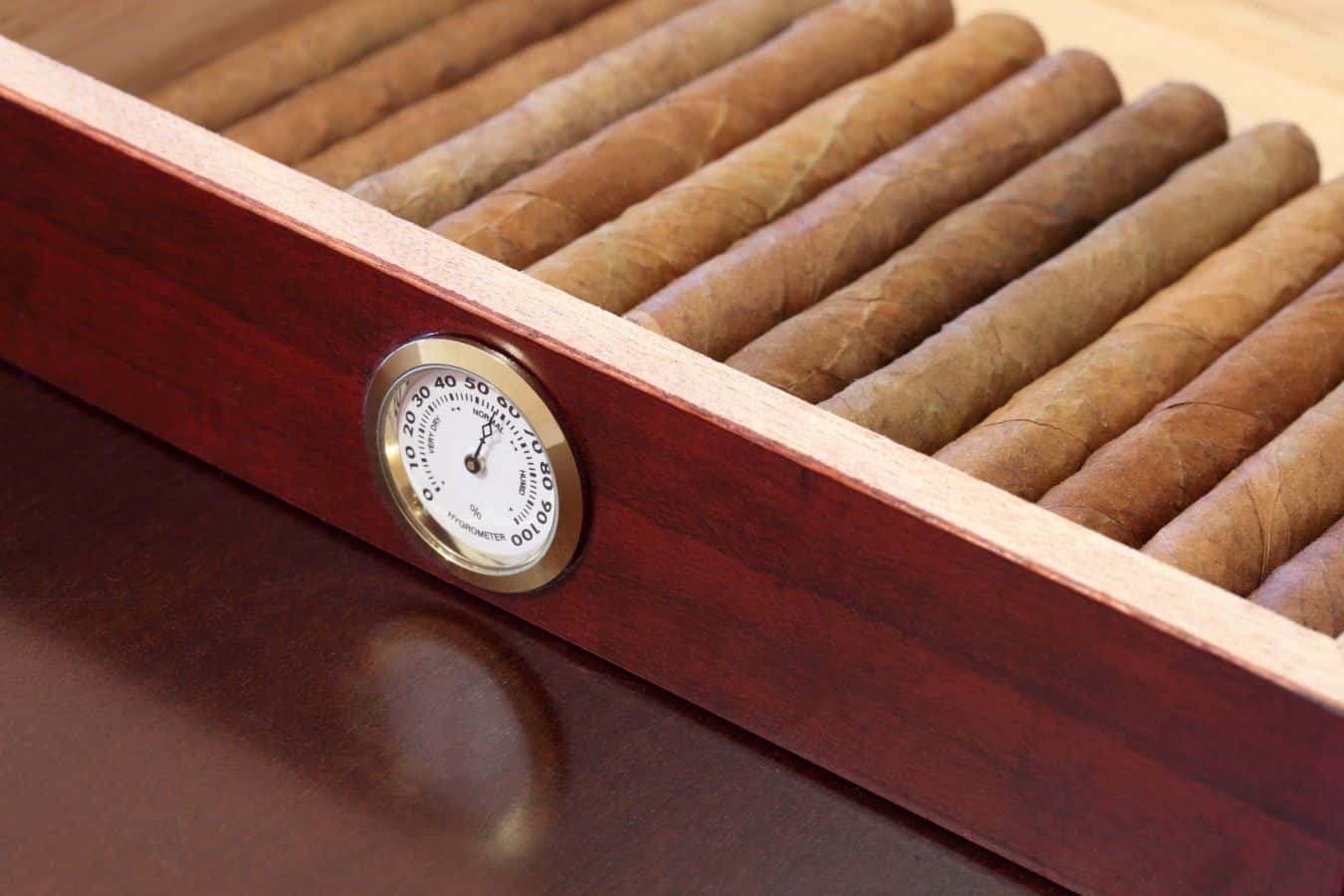 11 Best Cigar Humidors Reviewed FULL 2023 BUYER'S GUIDE
