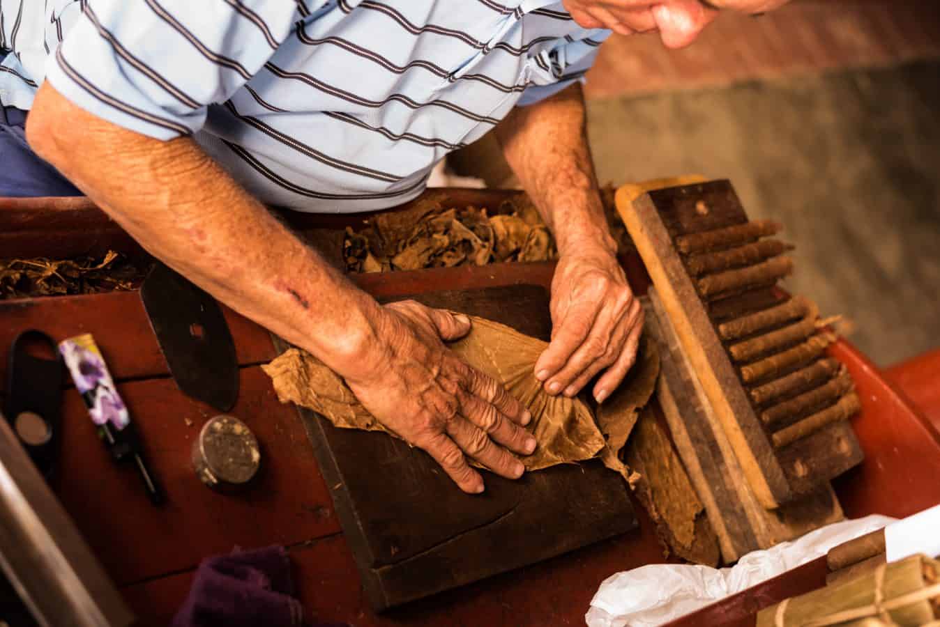 A Guide to How Are Cigars Made Fascinating Cigar Facts